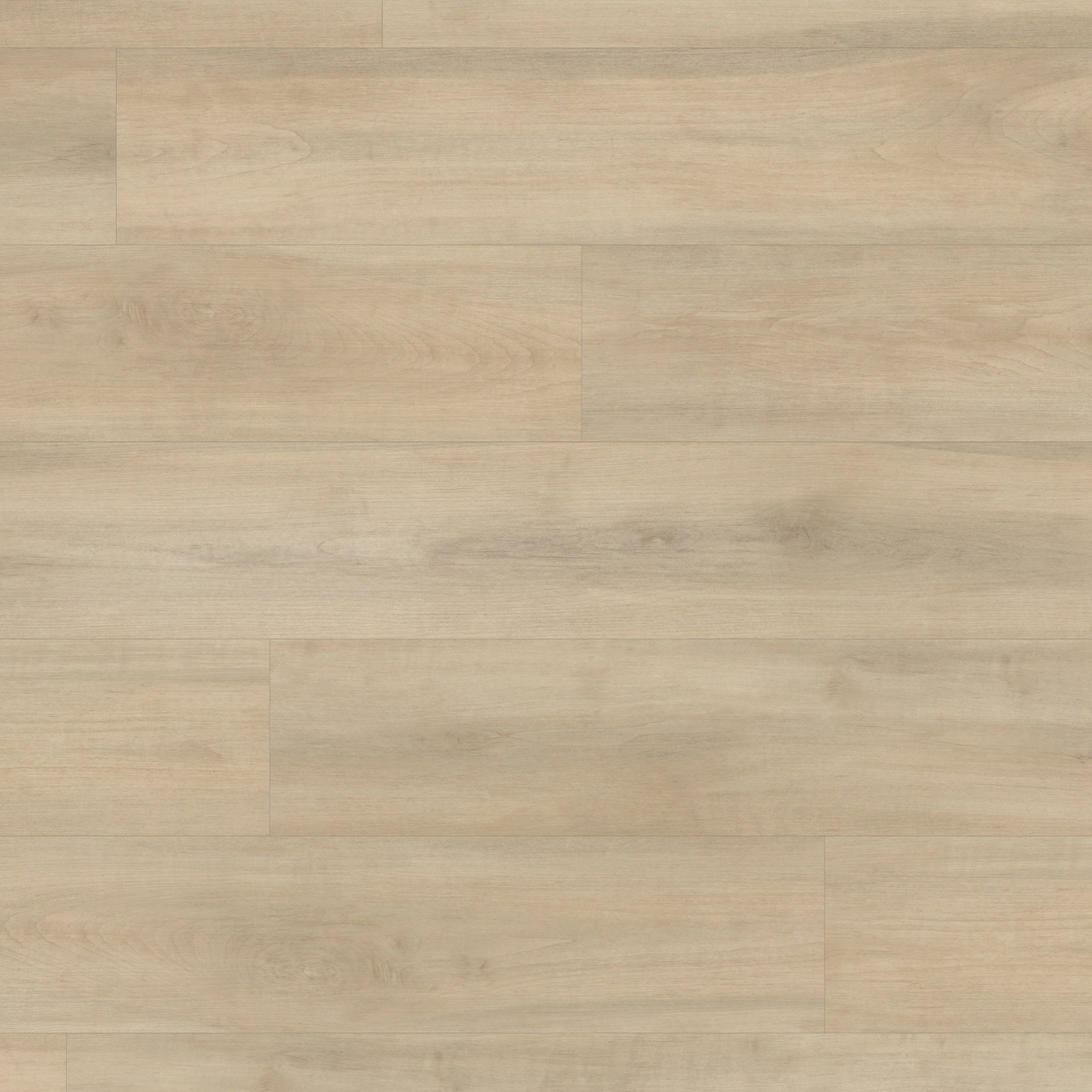 Core - Salerno RCP6546