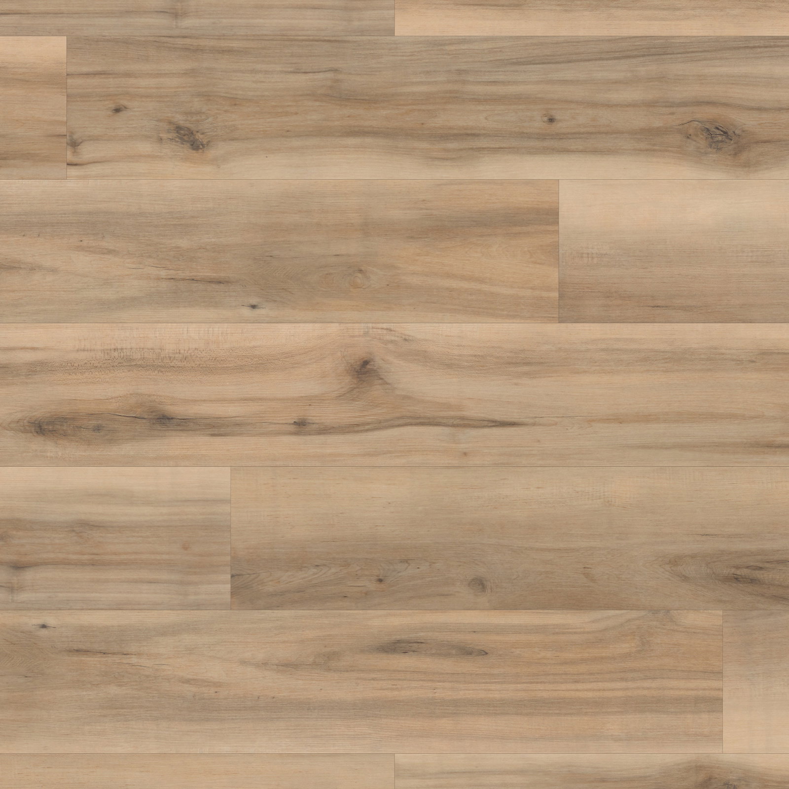 Core - Gallina RCP6547