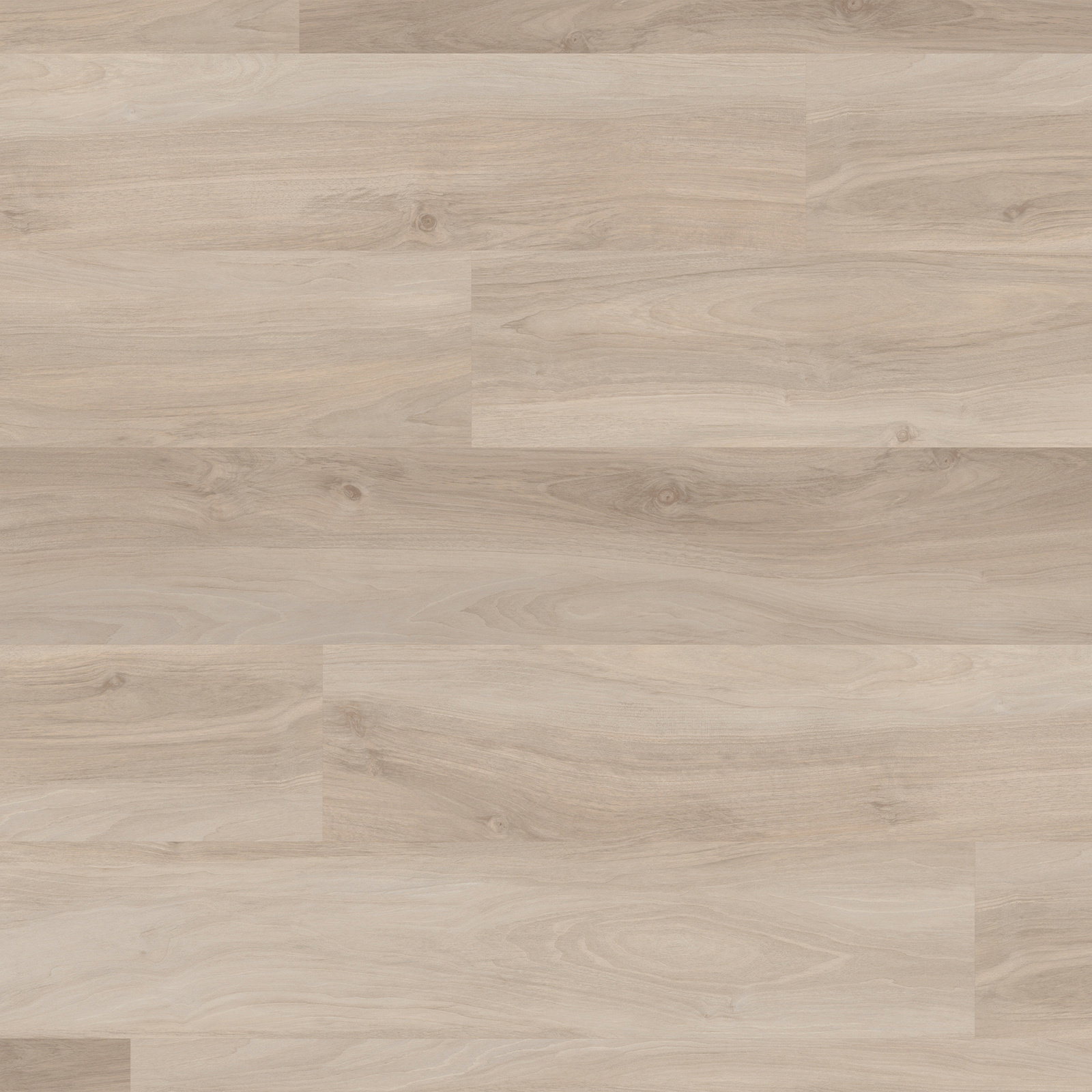 Core - Barletta RCP6549