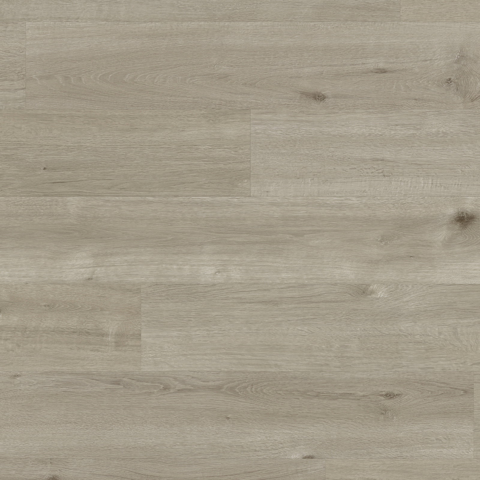 Core - Monza RCP6551