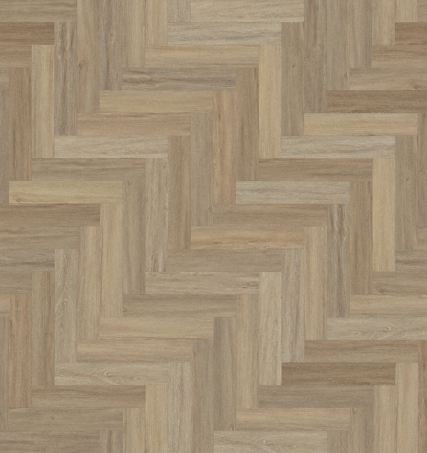 Living - Canadian Elm