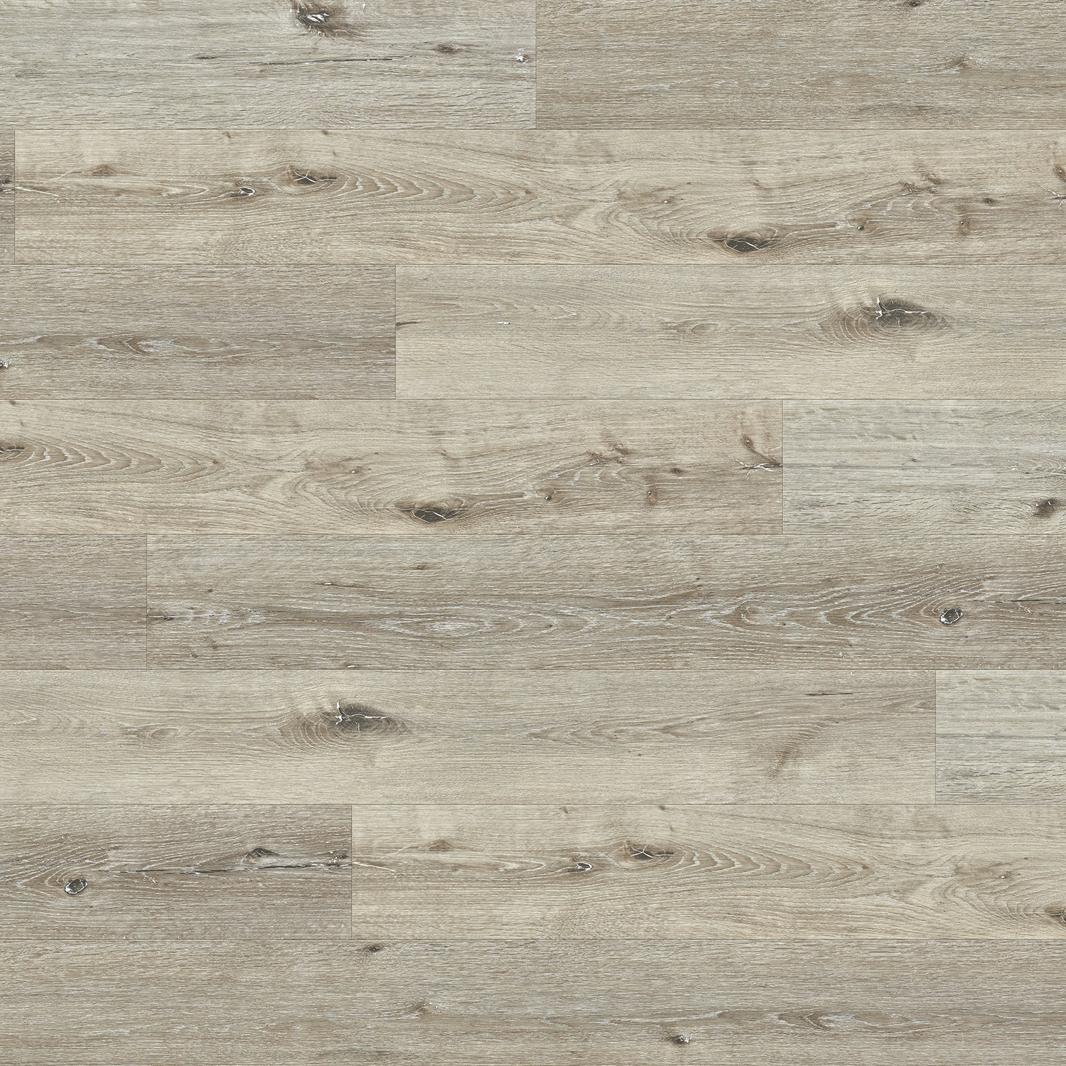 Select - Siberian Spruce