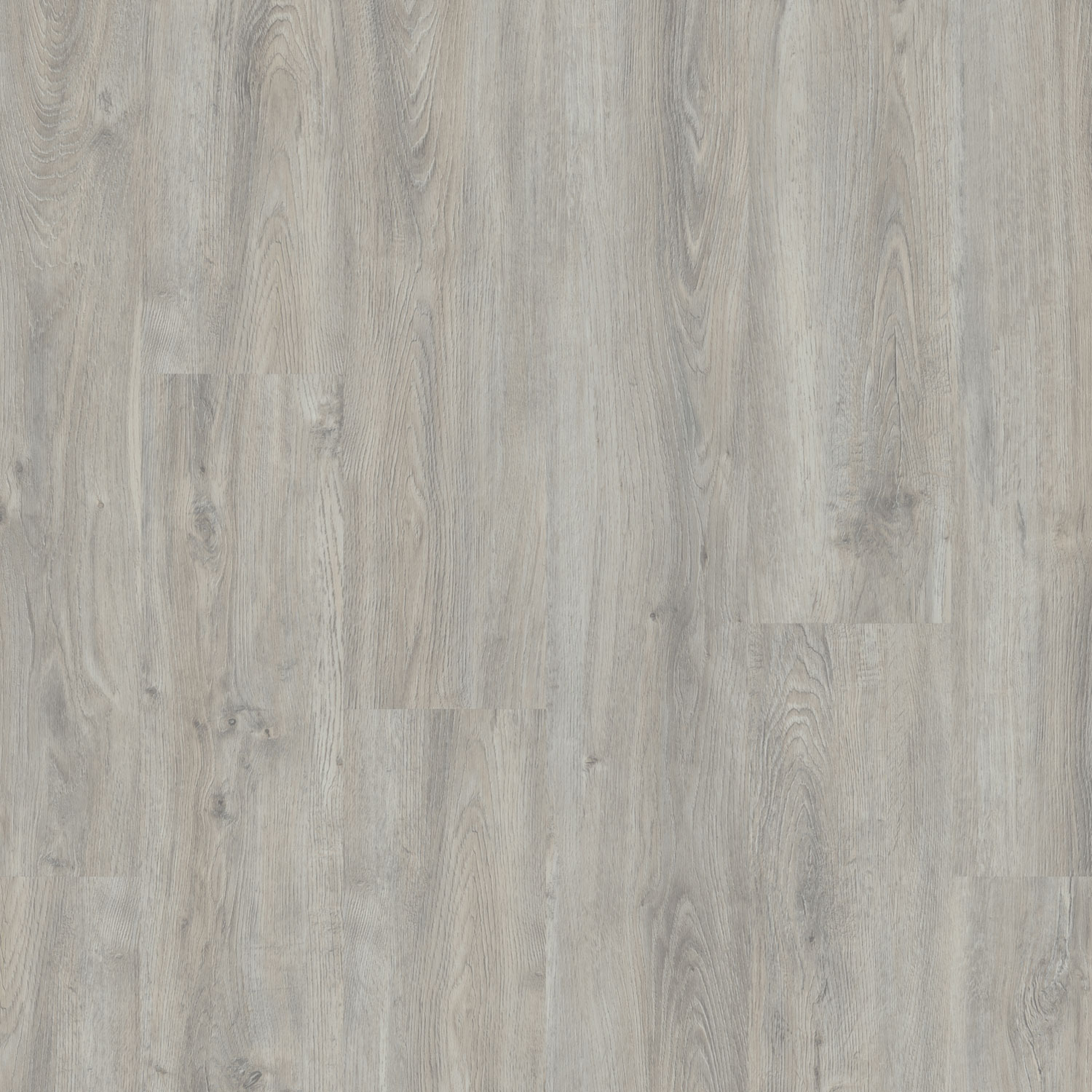Fusionline - Ashen Oak 2818