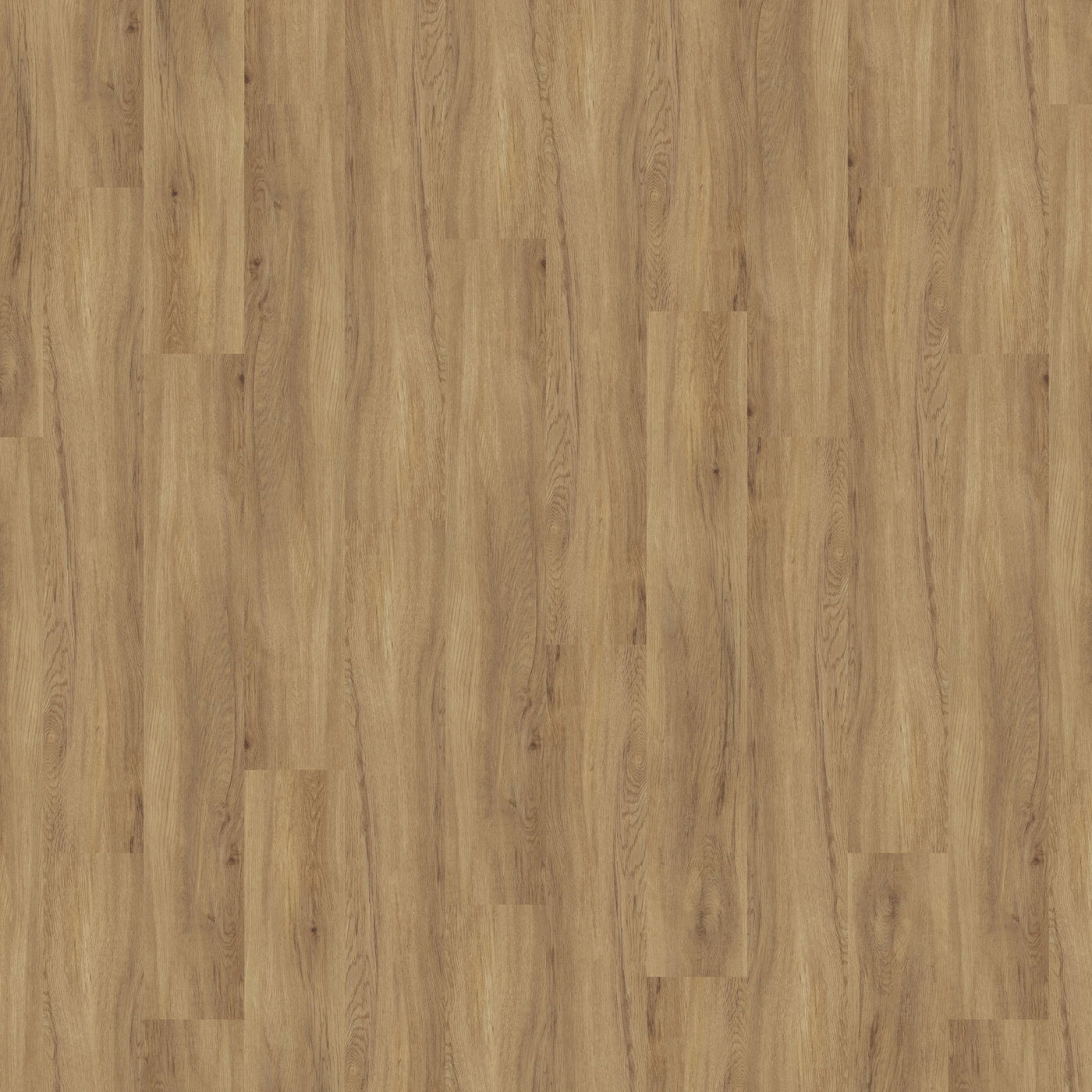 Massimo - Authentic Oak PLK5262