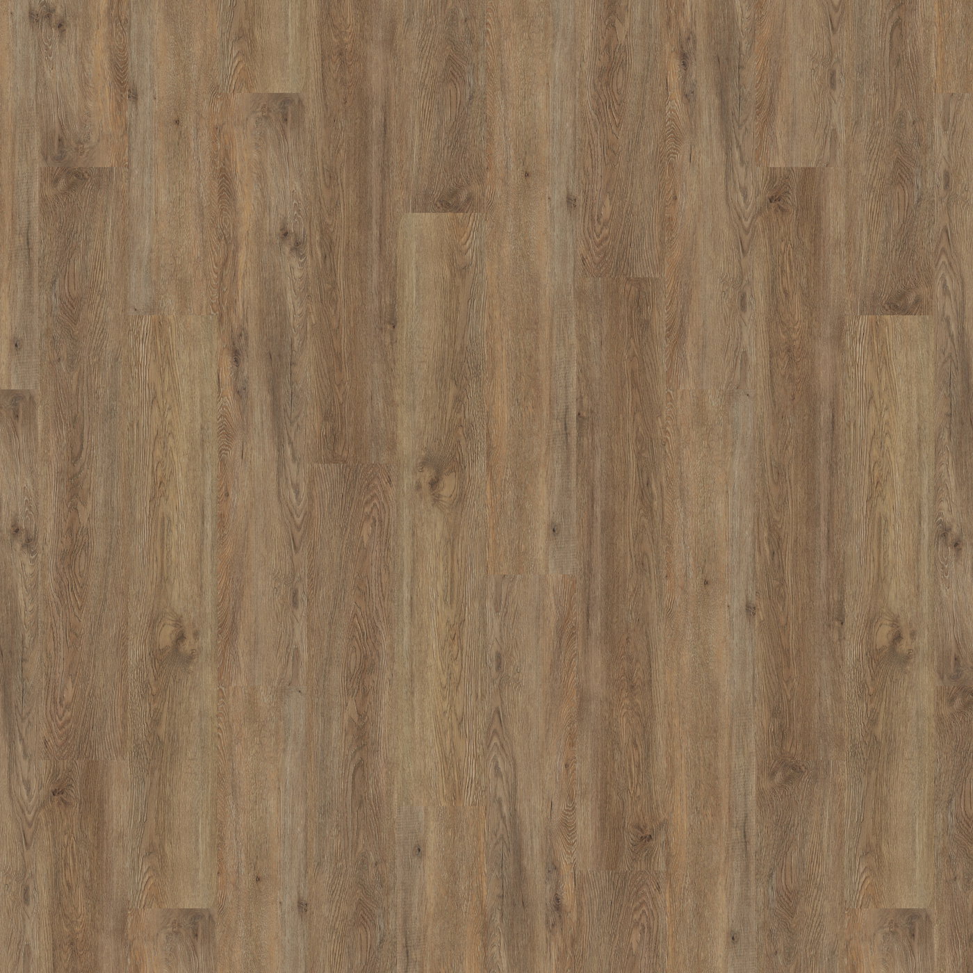 Massimo - Warm Barnwood PLK5264