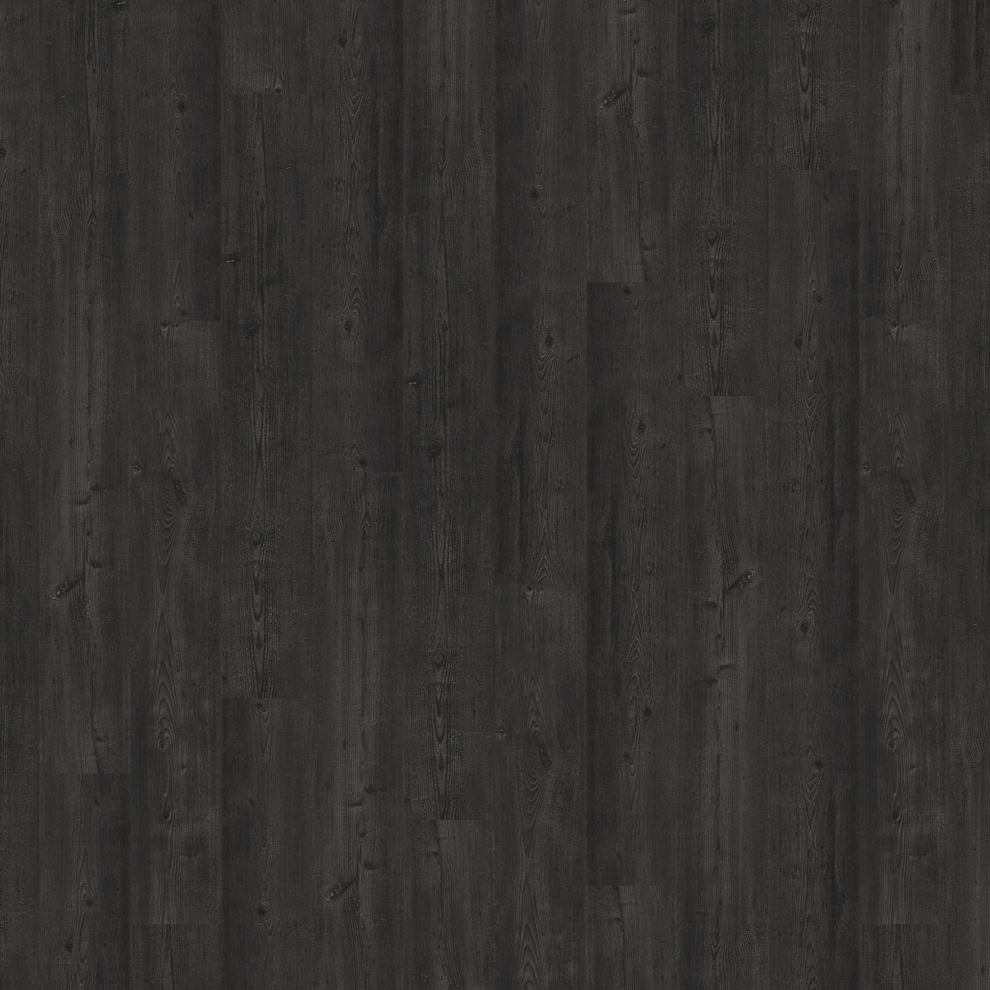 Massimo - Black Ash 5272