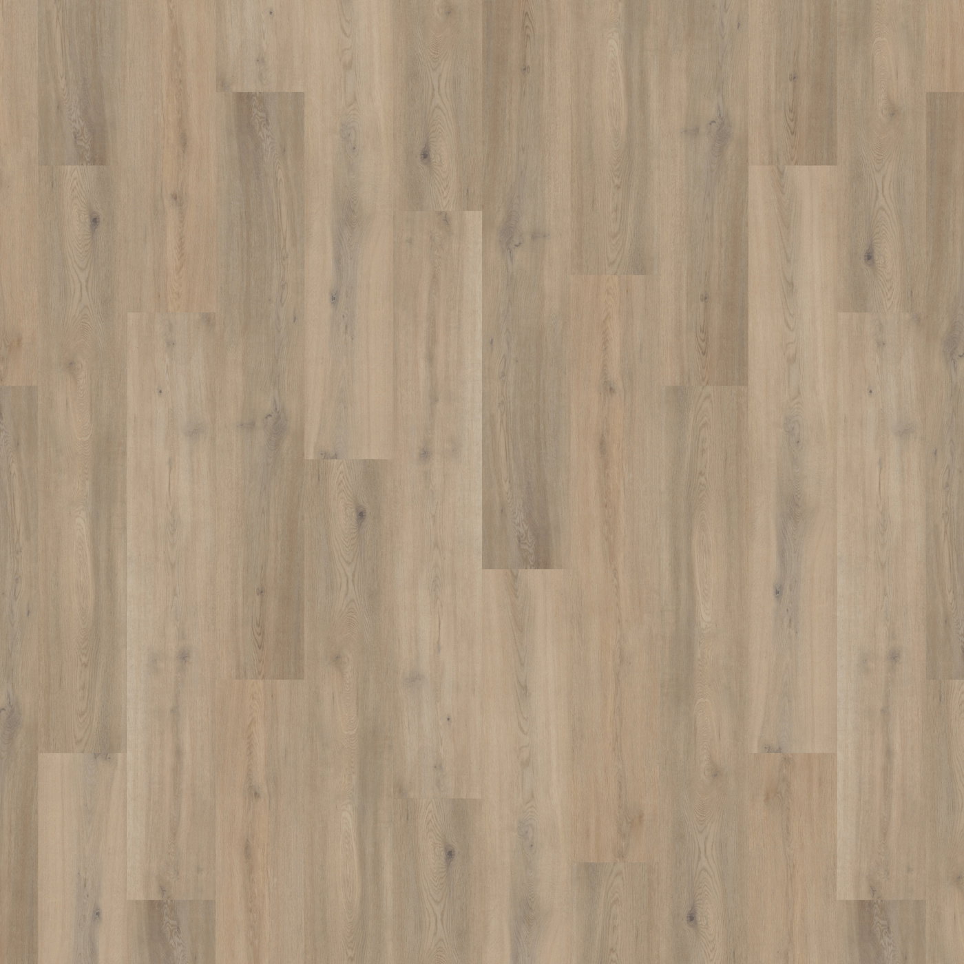 Massimo - Blond Oak PLK5277