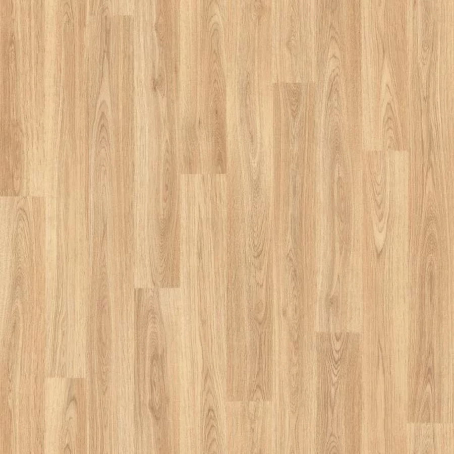 American Oak 3387
