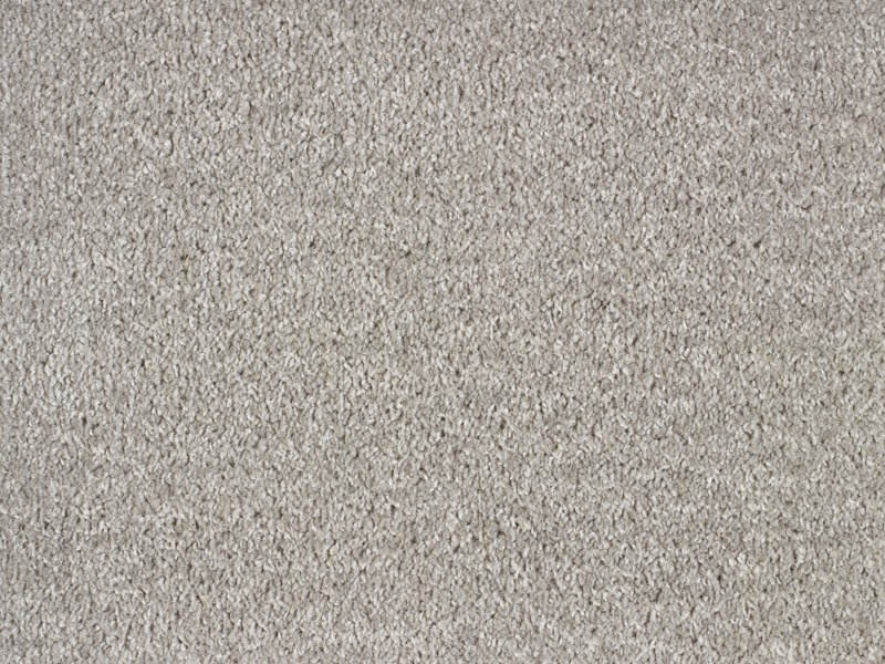 Dublin Twist - Dolphin